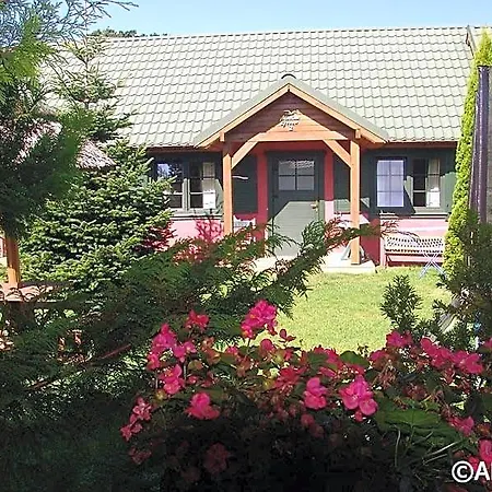 Bungalowy Marina *